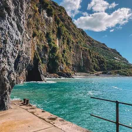 The Palms - Sun & Sea Madeira Appartement *